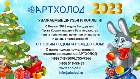 С наступающим Новым годом!